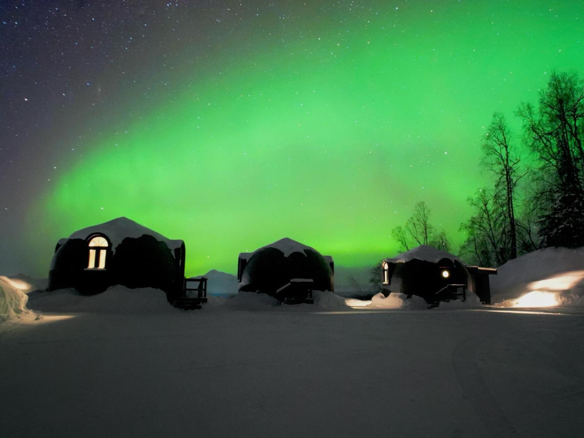 Talkeetna Aerie Adventure Lodge Zewnętrze zdjęcie